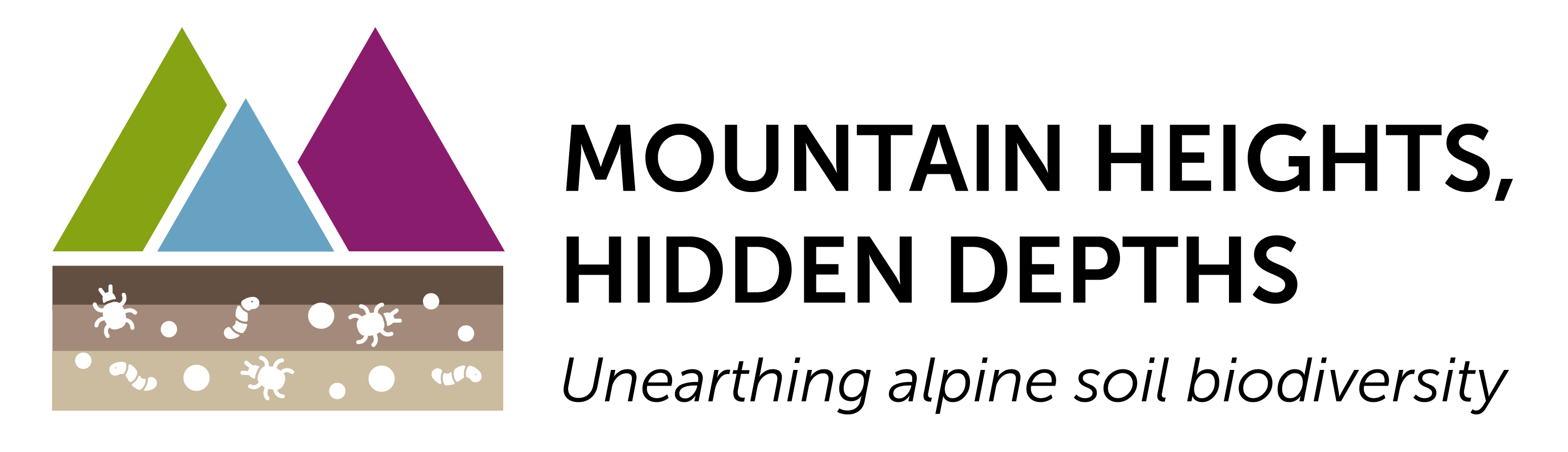 Mountain heights, hidden depths: unearthing alpine soil biodiversity
