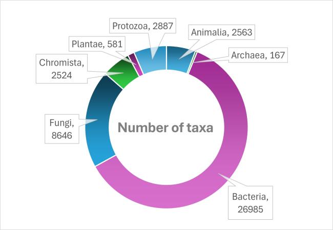 Results Taxa Pie Chart