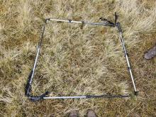 An overhead photo of plot B, with grass vegetation