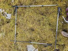 An overhead photo of site C, with shrub vegetation