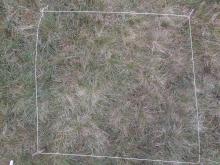 Mat-grass grassland. Sample taken at a point before the final ascent to the summit. Area is still used for grazing. A marshy spot liable to have snow lying after a thaw.