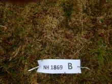 Sgurr nan Each NH 1869 Plot B close up