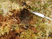 Sgurr nan Each NH 1869 Plot B sample hole
