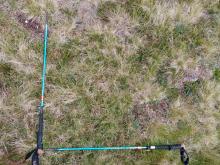 Location A - Grass