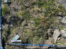 Photo of sample point C (Bla Bheinn)