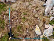 Location C - Moss