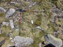 Sample location B with hiking poles displaying reference grid. Rocky terrain with thin layer of soil underneath thick dry moss.