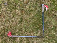 Two blue walking stick forming an L shape on a mossy ground