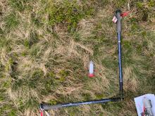 Two blue walking stick forming an L shape on a grassy ground