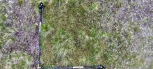 Photo showing a plot of mixed moss heath, marked by a pair of trekking poles.