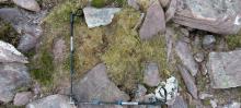 Photo showing a small patch of moss heath set amongst rocks, marked by a pair of trekking poles.