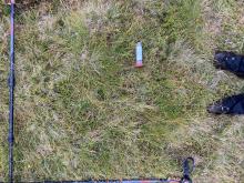 Mat-grass grassland with sample tube.