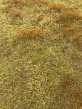 Carn Ghluasaid site C