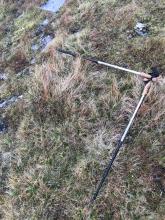 Site A - a one-metre squared patch of grass