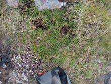 Photo of Sgurr na h-Ulaidh site A