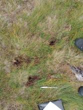 Photo of Sgurr na h-Ulaidh site B