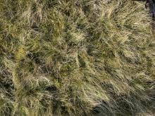 Point B mat-grass