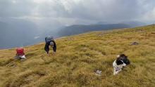 Colin sampling with Willow the Border Collie