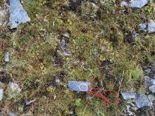 A Silva type 4 compass with red string lying on ground covered in rocks and moss