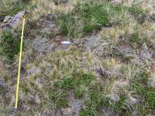 SITE B