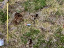 site B showing sample sites
